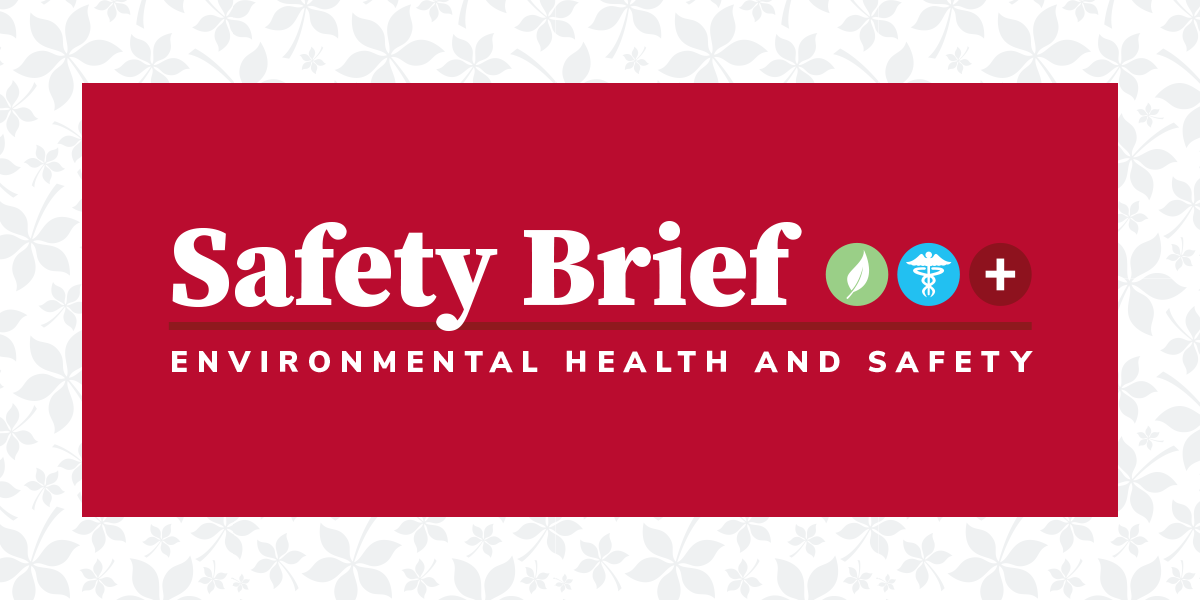 Graphic with text "Safety Brief"