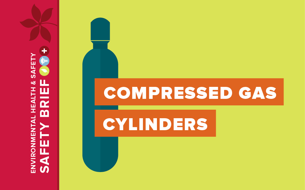 Compressed gas cylinders can be very dangerous if they are not handled or stored properly.
