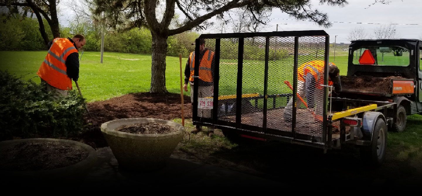 Workers mulching an area