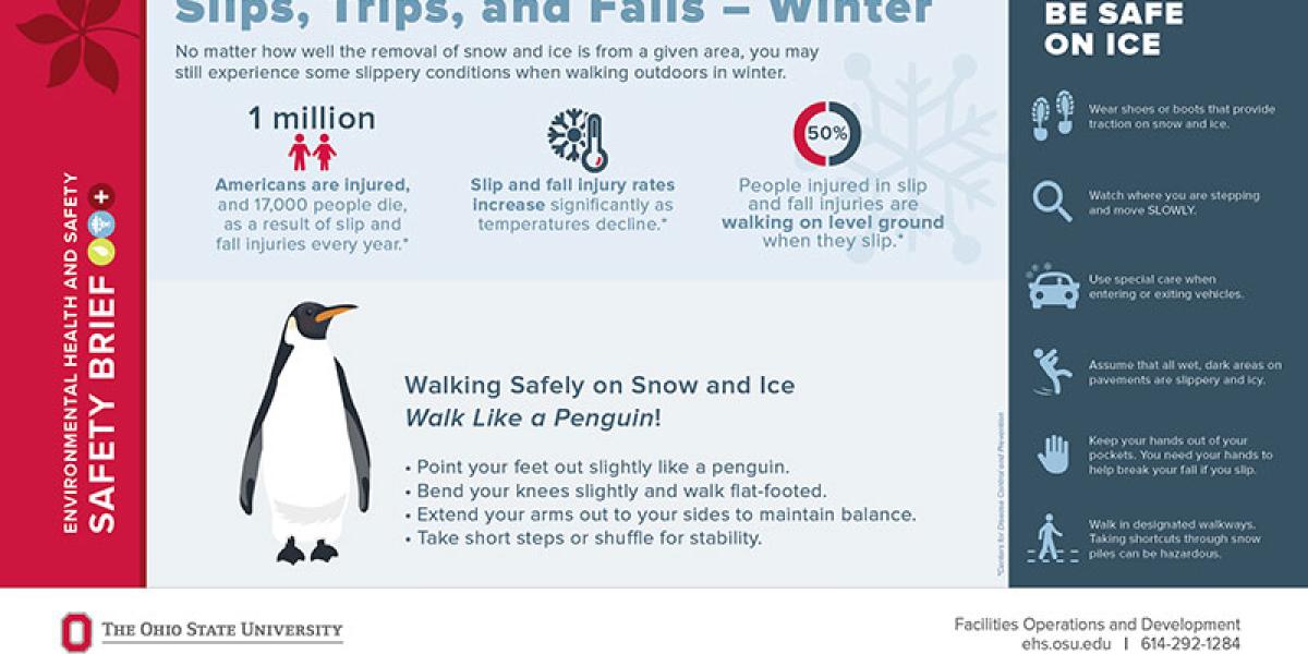 infographic about how to avoid slips, trips, and falls in winter