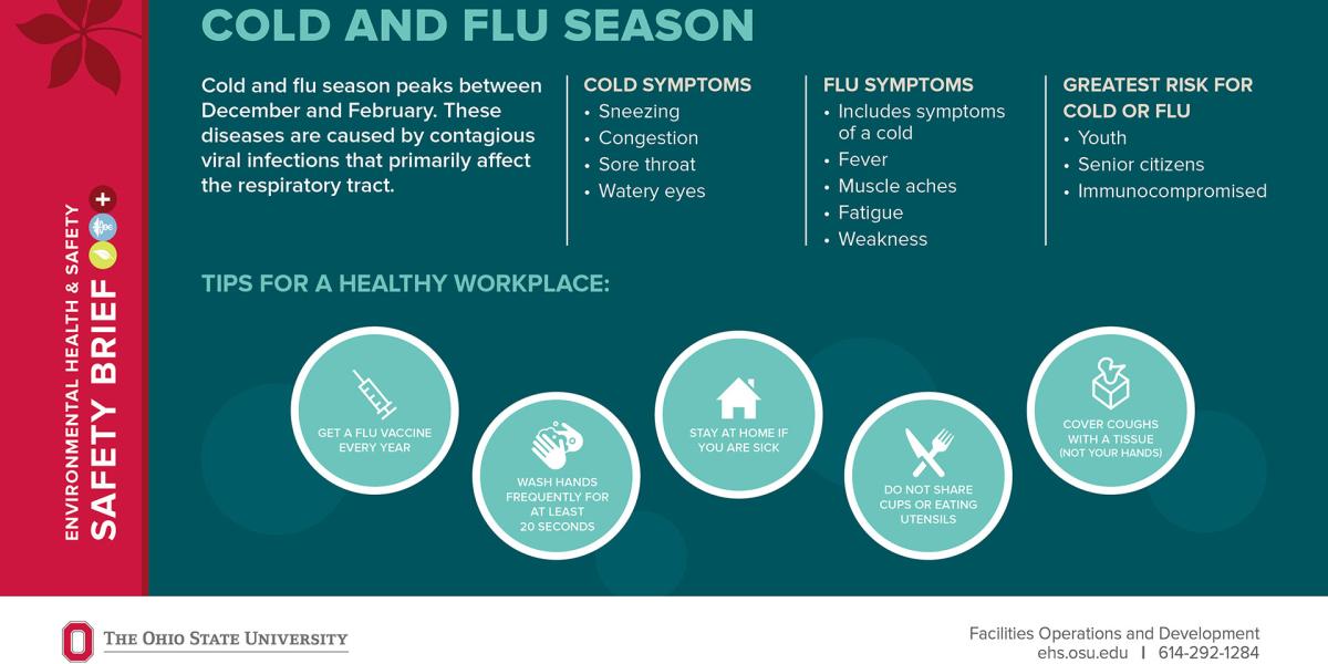 graphic showing differences of colds and flu and who's at risk and tips to stay healthy