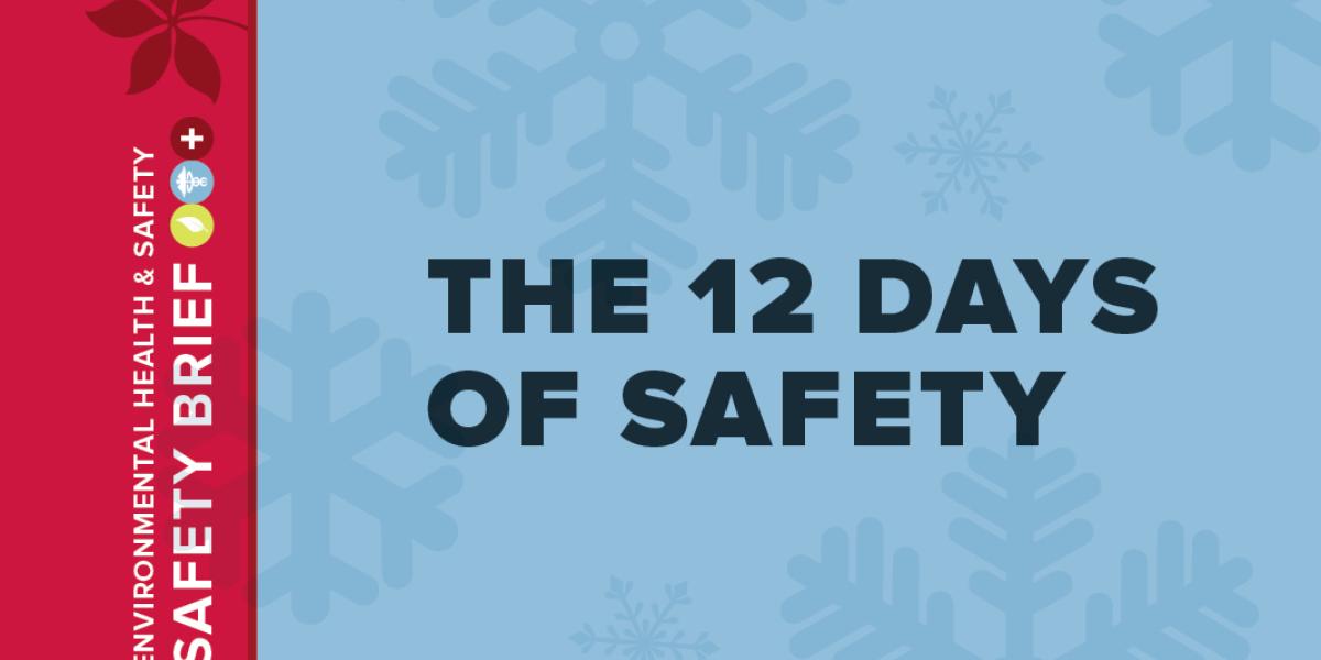 Image for 12 days of Safety poster