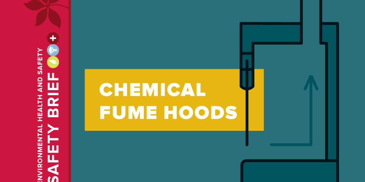 Image of a chemical fume hood.