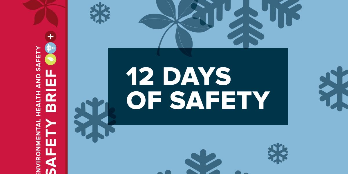 Image saying '12 days of safety'