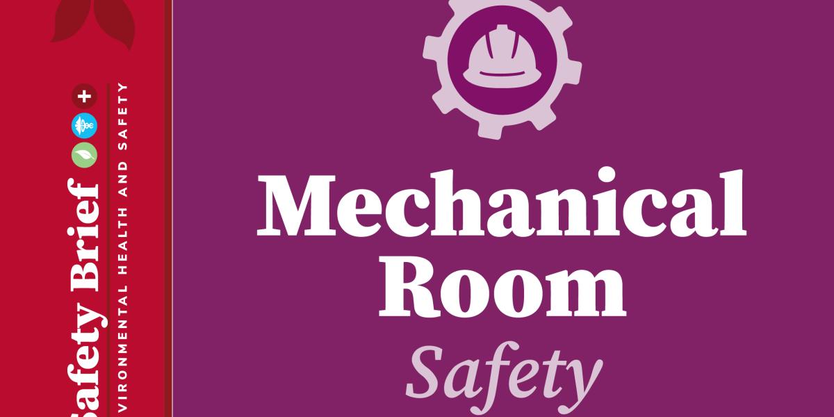 Thumbnail with text "Mechanical Room Safety"
