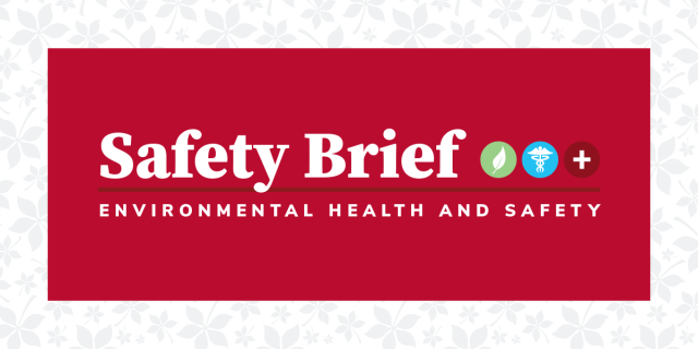 Graphic with text "Safety Brief"