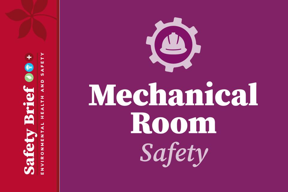 Thumbnail with text "Mechanical Room Safety"